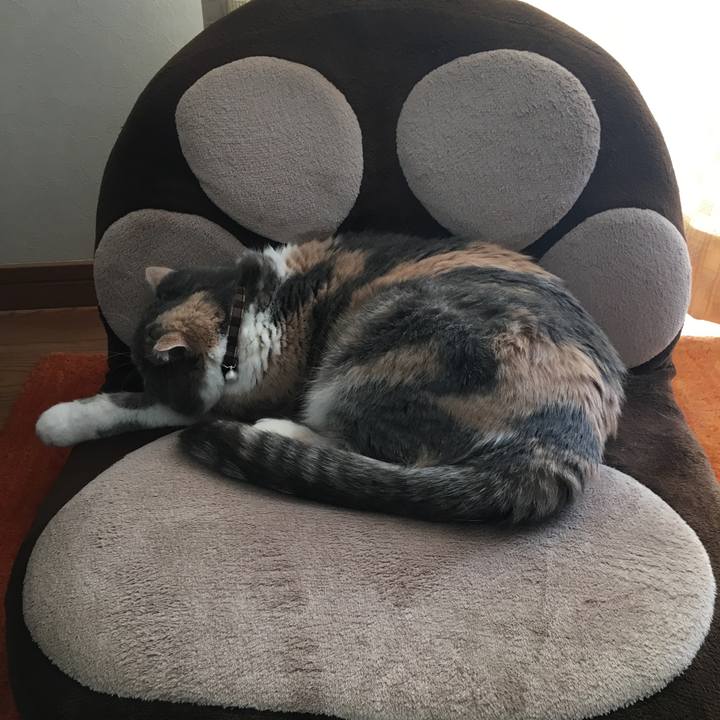 6c0a8668 1333 4d70 a49d 40d3854e6380 1544324335228