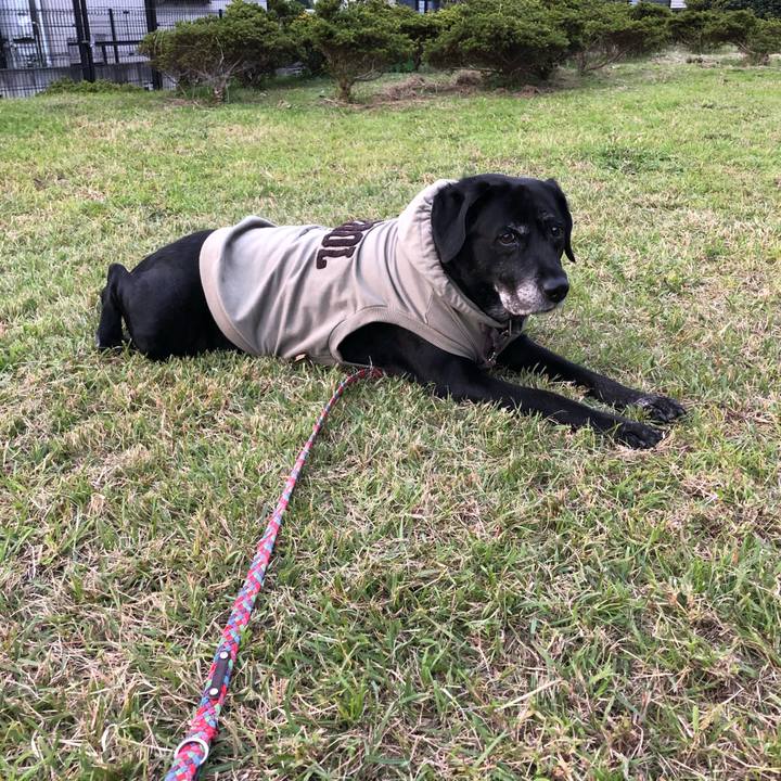 6c0a9bbb 67af 43d0 84b9 6654f40a103e 1604043859169