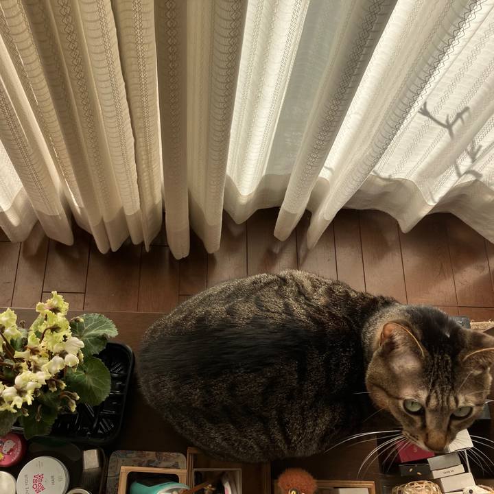 6c0a9c43 23b6 47f5 baea 24fa6c1481c3 1767055423290