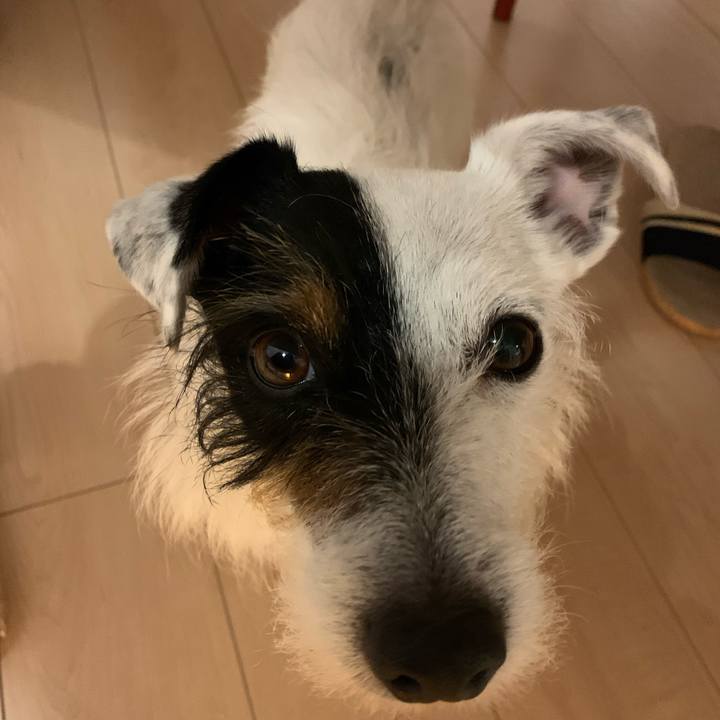 6c0ad355 4a93 4796 a434 d1dd668872b2 1586870551711