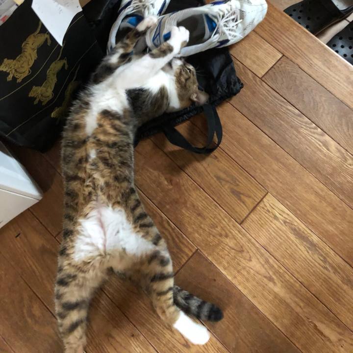 6c0aed7e a7c8 4011 ae9e 132b74530bd3 1529333785773