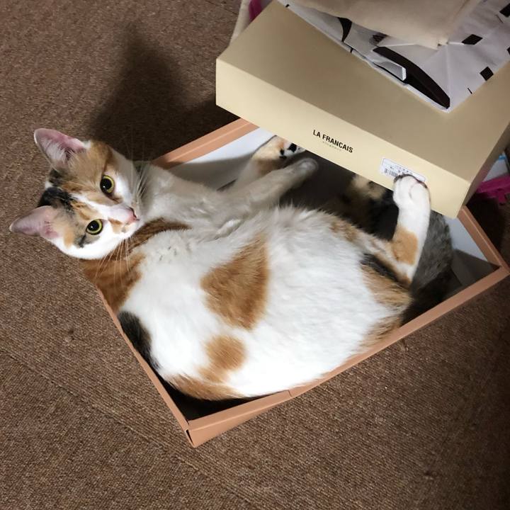 6c0afe93 8896 4f64 8580 a84cf2001dab 1594824359650