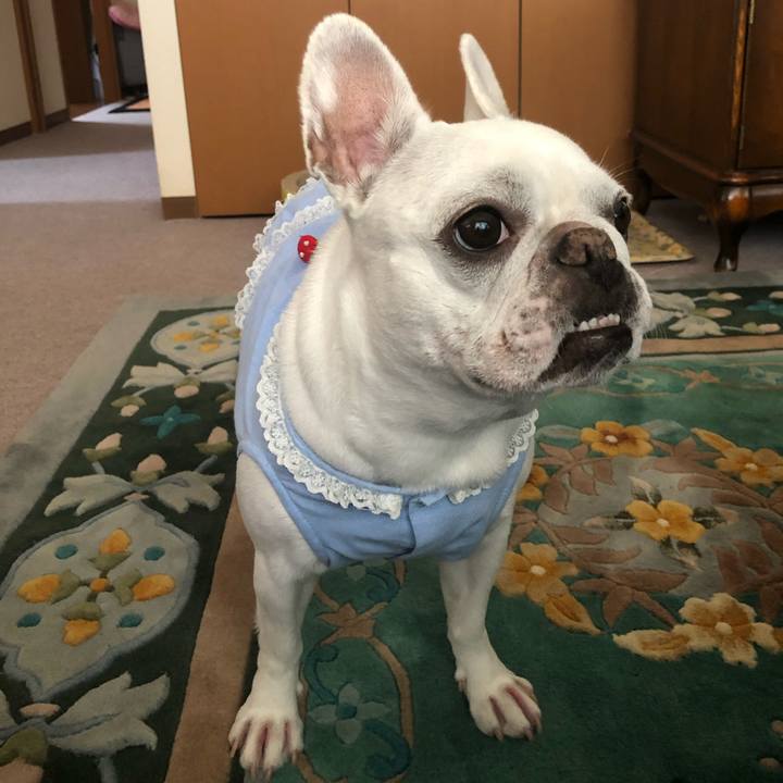 6c0b51ec e4fe 4ba3 859a 49b57836d2a0 1591497899122