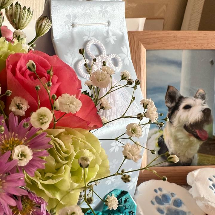 6c0b5554 5b0b 4c2e 9fe8 3551a602ee71 1765952604964