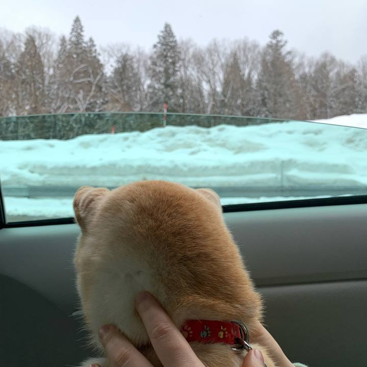 6c0b5d4b b61e 4c10 a9c3 851d037e04a2 1647828185241