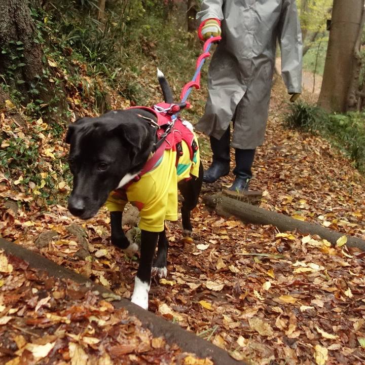 6c0b5f58 1263 457e a924 e5c5435e6fa7 1607127177105