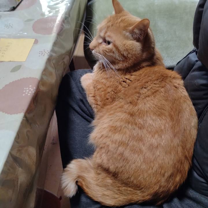 6c0b6a6c e86b 45cc a77d 1511e621d059 1715933880496