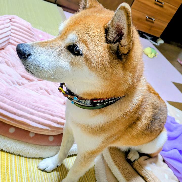 6c0bdcfa 17e3 477c 8d43 00d740d642df 1758599482733