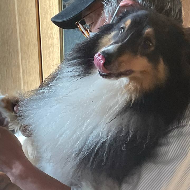 6c0c1541 779e 4729 9b54 a3f2b4e3cde2 1631138409091