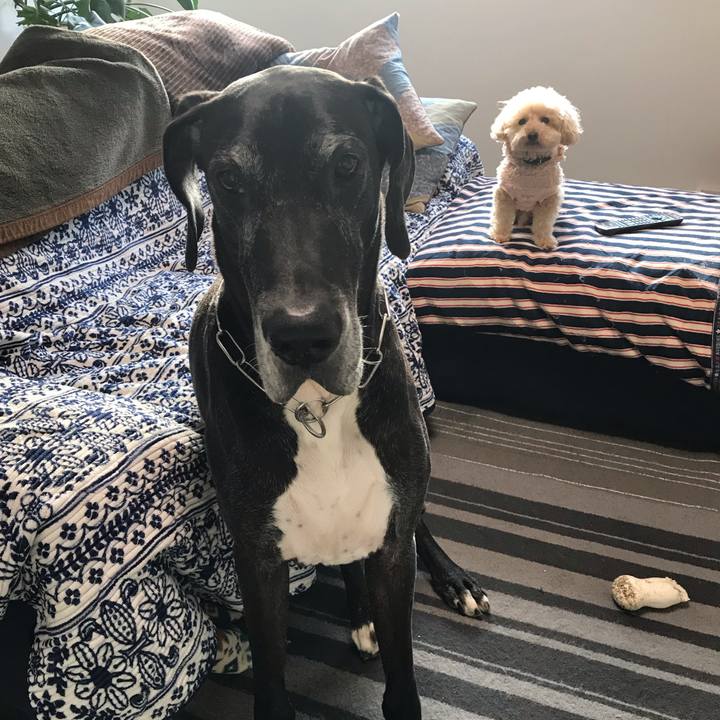 6c0c276d 0d37 4cf2 80b2 86e4df5770ea 1543445713020