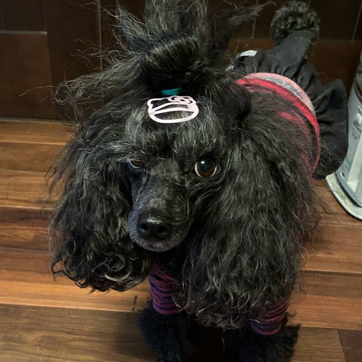 6c0c5136 1708 4a9a aae0 853749c570e0 1681959830302