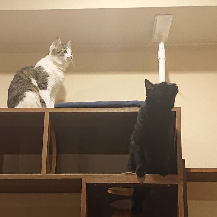 6c0c8745 c213 40f0 834c bac679f4314b 1625286075832