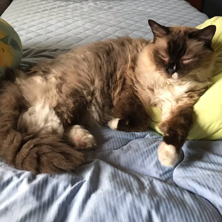 6c0c8fd9 a154 4158 904d 86bdee39aa74 1567240153633