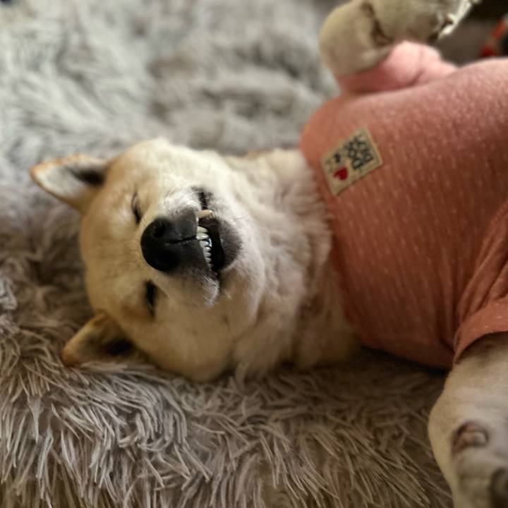 6c0cf508 e29f 4c07 b77d 53204a1f5a0e 1746241644304