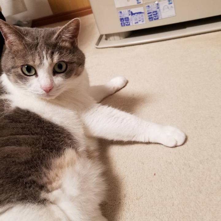 6c0d0c69 dc3d 4122 945b 04ef122b4301 1600779686527