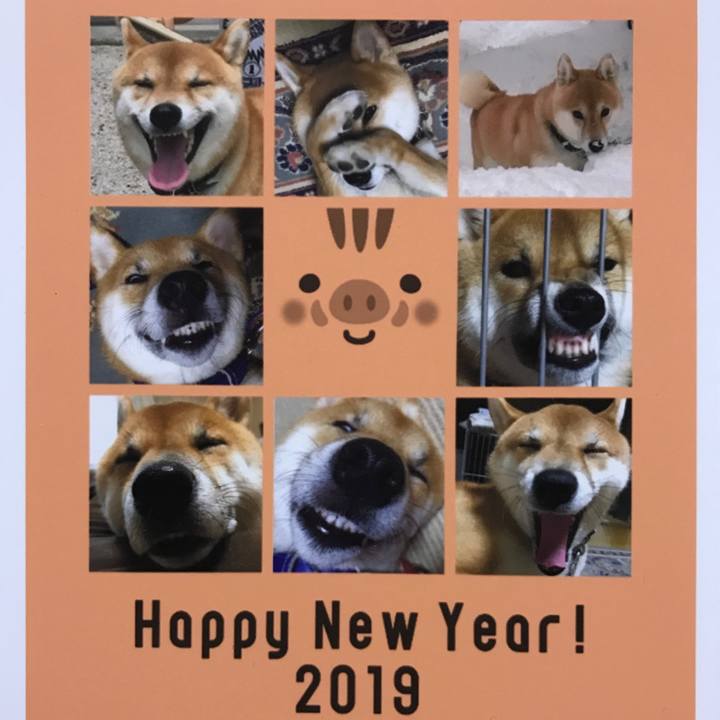 6c0d1c81 6adc 4dd8 b865 020a700bb2f7 1546271418414