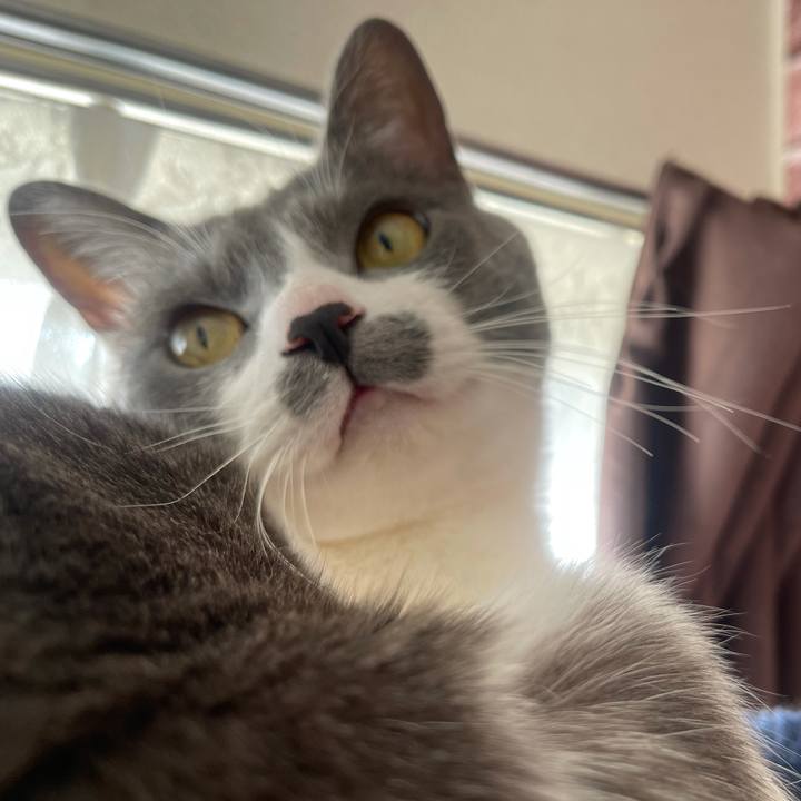 6c0d2d0d 5c88 4ffd b18f a0aad85418df 1639877942437