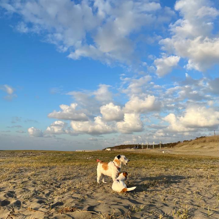 6c0d3756 0897 435c 9830 572a31ae112d 1619344260336