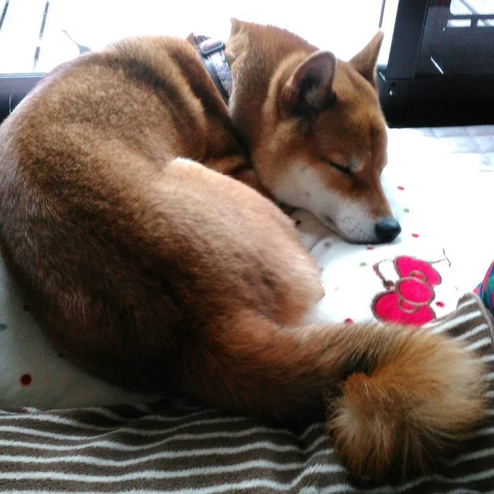 6c0d4093 ff37 4c64 97e8 8e829afea10e 1520393972444