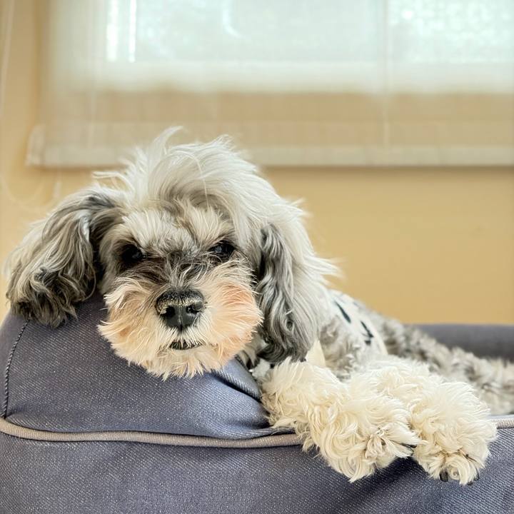 6c0d4613 69d8 4f45 8539 0a5d0861cf88 1765259759924