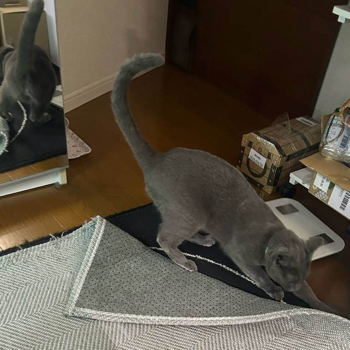 6c0d480a f802 4618 9a60 8be5f60fa53b 1728362105665