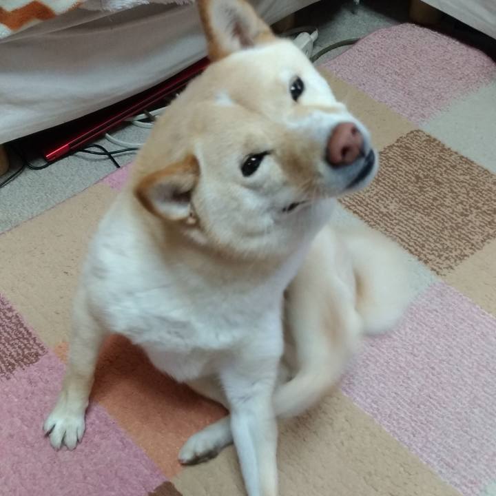 6c0d72f1 3a28 4dc6 8189 0849943ab053 1585609328315