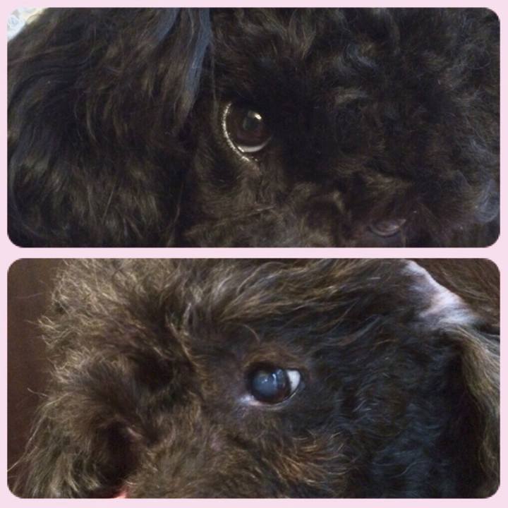 6c0d868e f8f1 47d3 a681 814ec09c450a 1528617852398