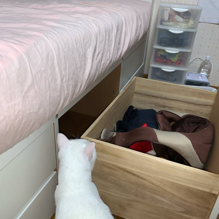 6c0db676 4c77 47e2 a75b 0f50adad05ce 1600174181077