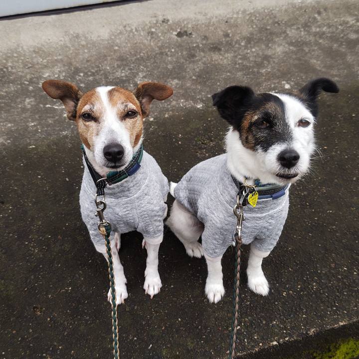 6c0dc367 abed 43e8 a9a6 37b6f1095925 1760565725759