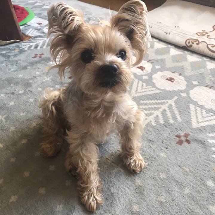 6c0e286c 84b7 4dea 86ed f54e540f6914 1590229600071