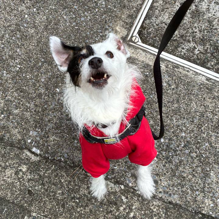 6c0e7bb6 74b8 4694 9a28 ffd8836289dd 1761866163821