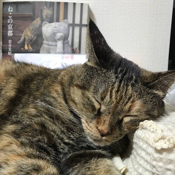 6c0e8bd1 78aa 4958 b778 aaac4b711045 1534938452033