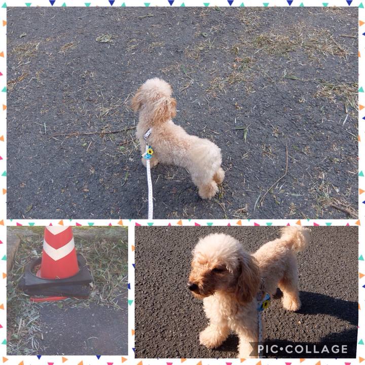 6c0ef61a 6779 4206 acab 55cb80855408 1538956064153