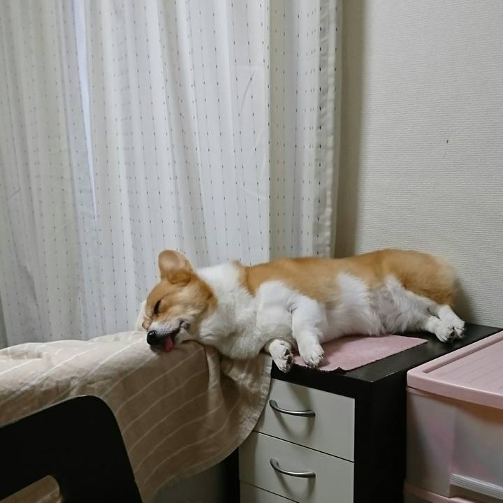 6c0f171a 2294 43da 800f 20e847075474 1539415627943