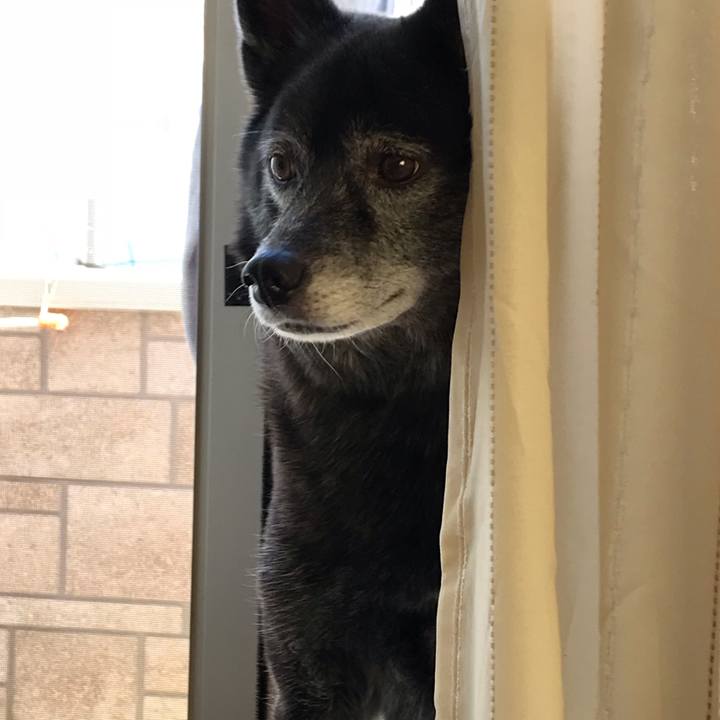 6c0f25c0 6d58 4d72 89a1 83c7732ccd90 1541908246253