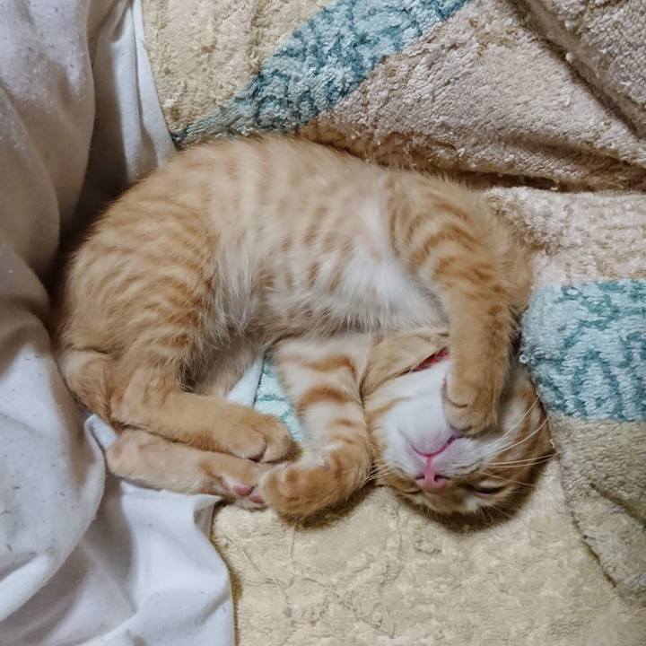 6c0f5cf0 ac5f 4274 9a89 01fd9b06fa7b 1631364249138