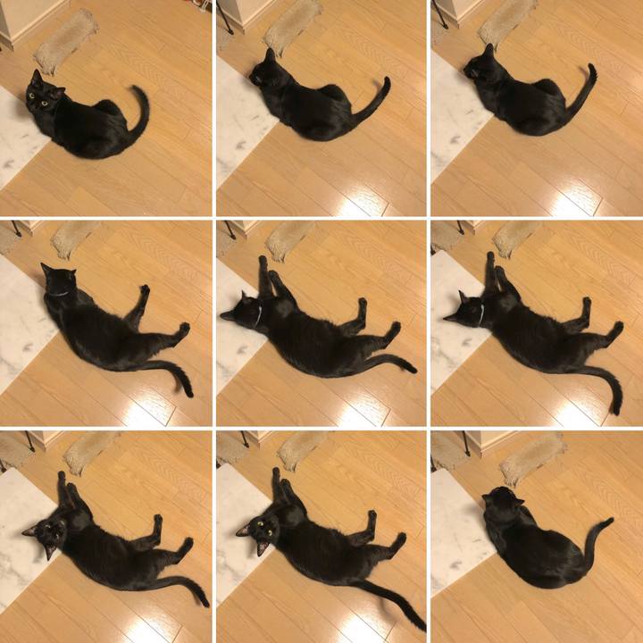 6c0f64f3 a63b 4e3a 8e81 fcdbe12f10a2 1567252193244