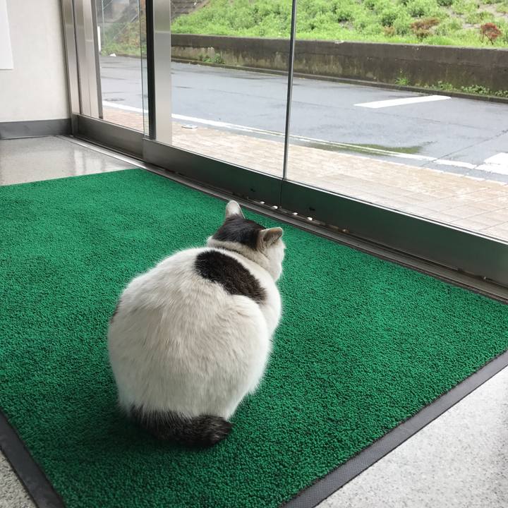 6c0f7303 27a7 434f 8ddd e5e0e039339b 1521515080547