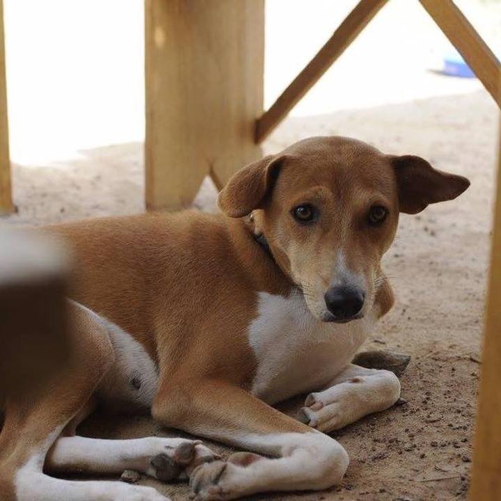 6c0f7988 be5b 4772 be3c e9c20727ddfd 1545208430310