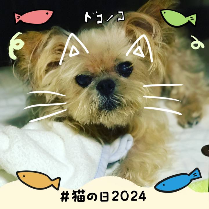 6c0f847e 7b77 4117 bfb0 bea1a3c47805 1708558438446