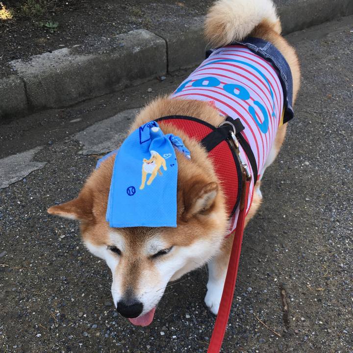 6c101ca5 f6f3 4714 b3b2 1b7767733fb6 1593654256228