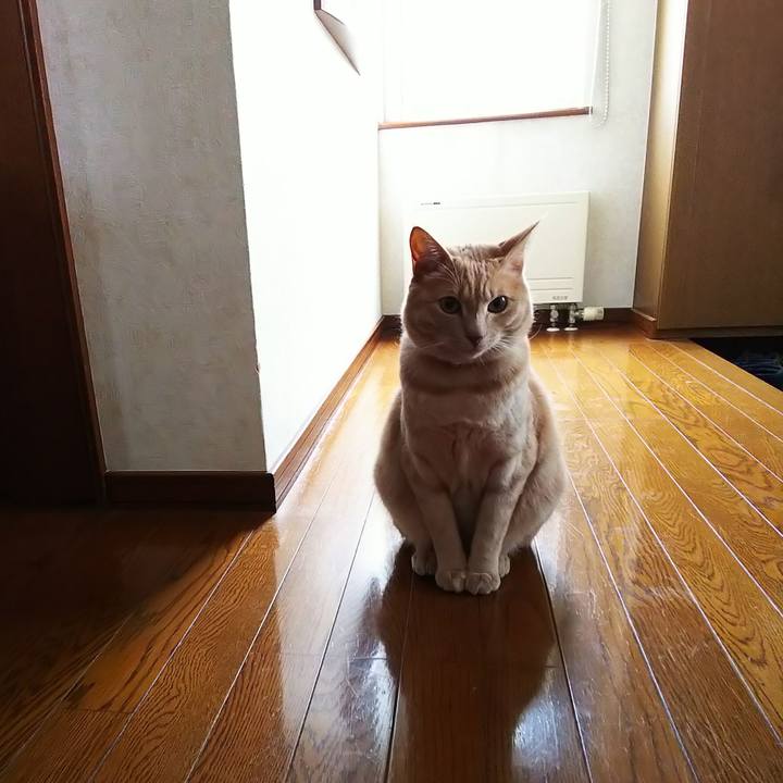 6c105d5c b6dd 4200 a2c4 792848d0d3ba 1578809879219