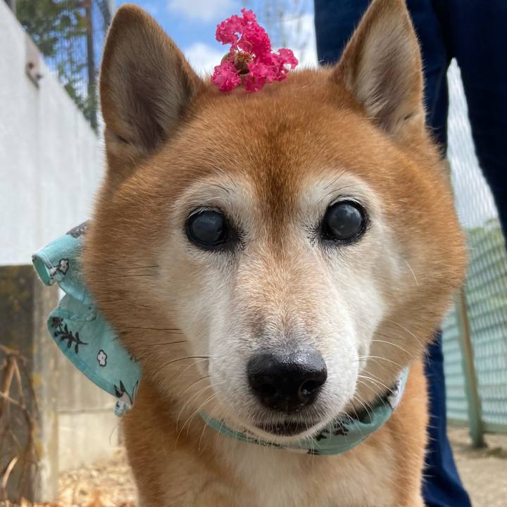 6c10645a b96a 49ed a3fa 5a350b37efa0 1691907022921