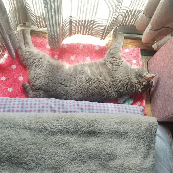 6c108a98 ec7f 4544 9793 96112adcb5a7 1683250407770