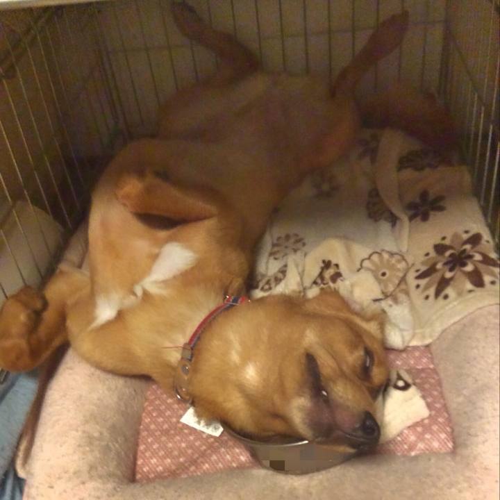 6c109065 8f62 4aa6 a039 e2407e0afcc9 1517406189432