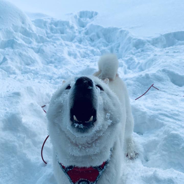 6c10a792 cf53 420d b8da d61c798a4ae4 1614389751194