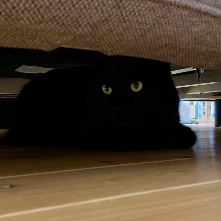 6c10be4b 6bb9 4998 a147 864dd8bcd156 1753056094645