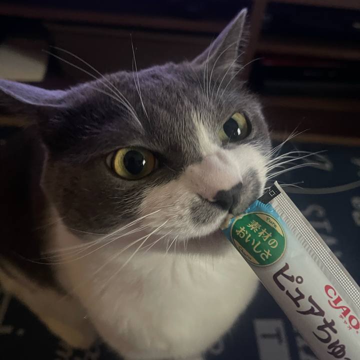 6c10e92f 6802 4726 9abf ffce3370c6bc 1712823761360