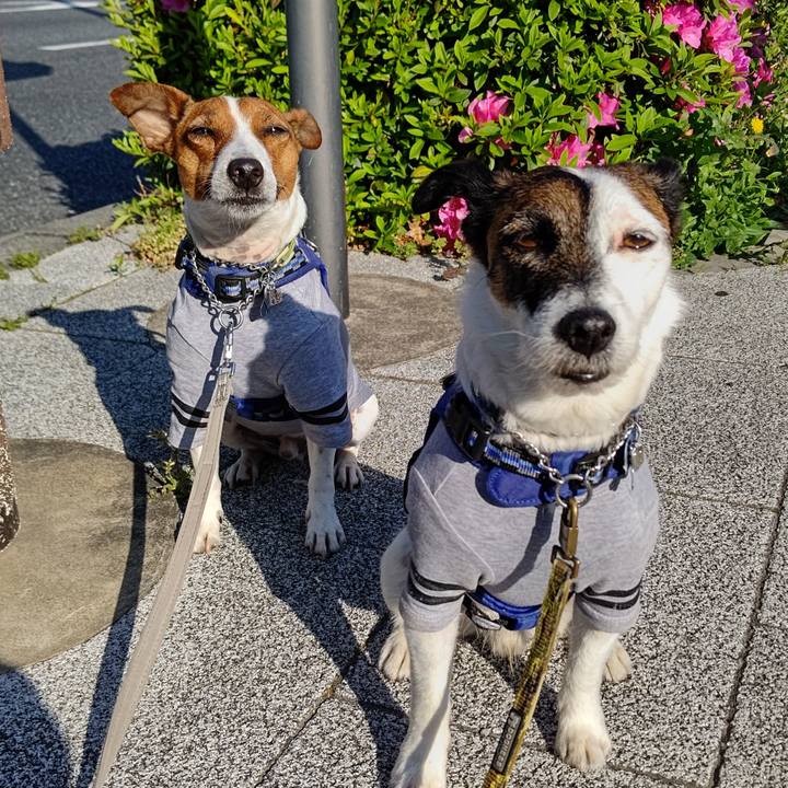 6c10eaf2 b0de 4d2d 9b20 5a46ca09b1d2 1618957067496