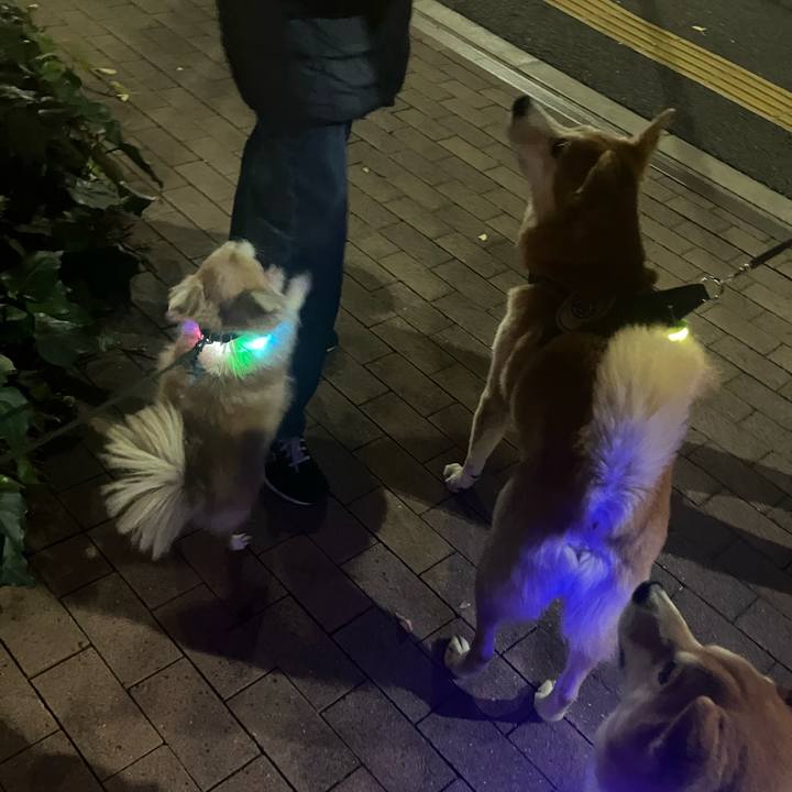 6c10ec5a bb96 4fed 8a3c 474399623e2f 1765369623648